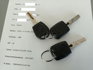 SKODA Fabia usata 47