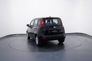FIAT New Panda usata, con Alzacristalli elettrici