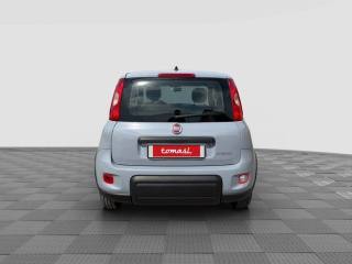 FIAT Panda usata 3