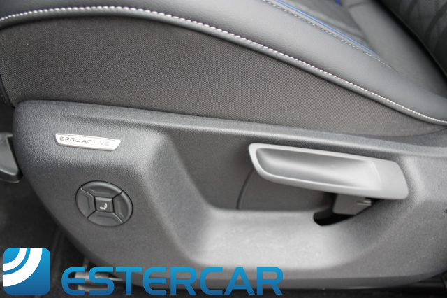 VOLKSWAGEN Tiguan usata, con Volante in pelle