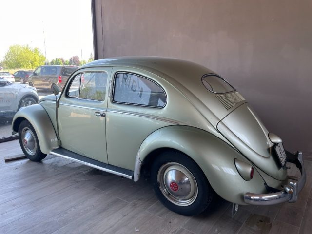 VOLKSWAGEN Maggiolino usata 2