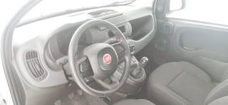 FIAT Panda usata 53