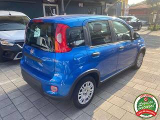 FIAT Panda usata, con Alzacristalli elettrici