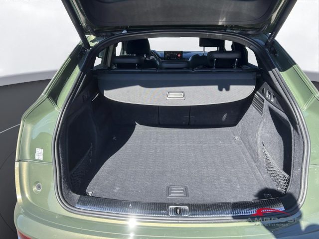 AUDI SQ5 usata 8