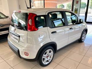 FIAT Panda usata, con Boardcomputer