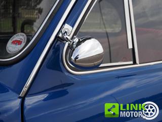 FIAT 500L usata 29