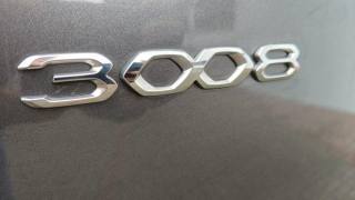 PEUGEOT 3008 usata, con Climatizzatore