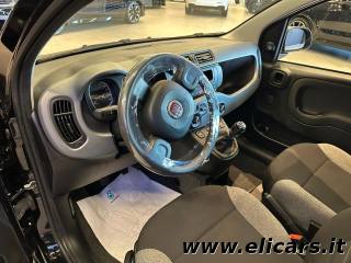 FIAT Panda usata, con Controllo trazione