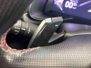 DS AUTOMOBILES DS 7 usata, con Bracciolo