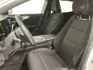 RENAULT Austral usata, con Fendinebbia