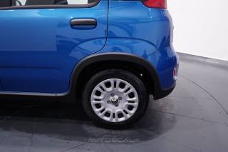 FIAT Panda usata 25