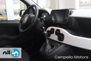 FIAT Panda usata 12