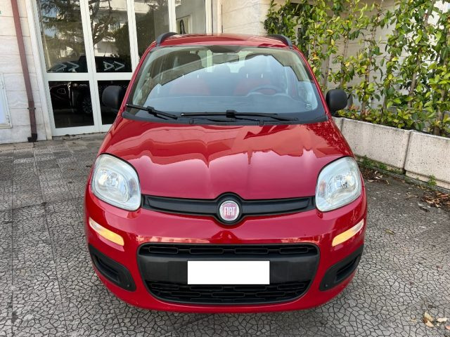 FIAT Panda usata 2
