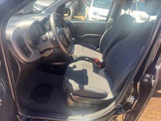 FIAT Panda usata 15