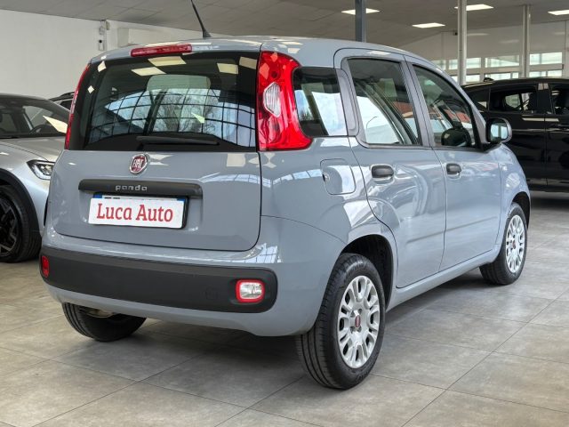 FIAT Panda usata, con Alzacristalli elettrici