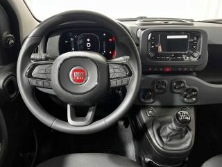 FIAT Panda usata, con Airbag testa