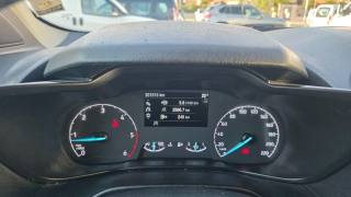 FORD Transit Connect usata, con Autoradio digitale