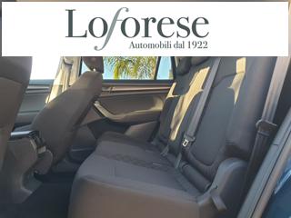 SKODA Kodiaq usata, con Fendinebbia