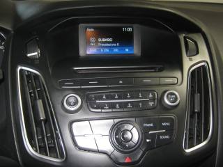 FORD Focus usata, con Servosterzo