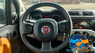 FIAT Panda Cross usata, con Controllo trazione