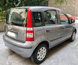 FIAT Panda usata, con Airbag Passeggero