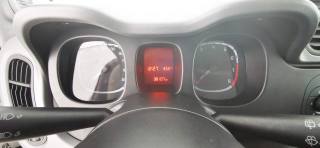 FIAT Panda usata 56