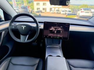 TESLA Model Y usata, con Cronologia tagliandi