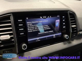 SKODA Karoq usata, con Filtro antiparticolato