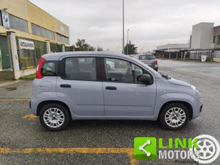 FIAT Panda usata, con Alzacristalli elettrici