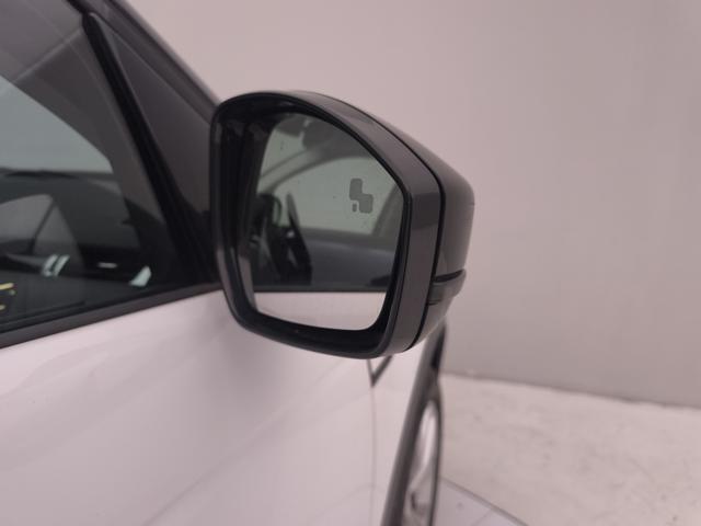 LAND ROVER Discovery Sport usata, con Autoradio digitale