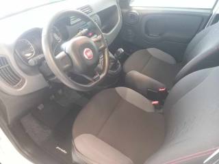 FIAT Panda usata, con Controllo trazione
