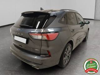 FORD Kuga usata, con Airbag Passeggero