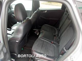 FORD Kuga usata, con Chiusura centralizzata