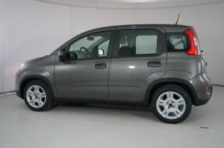 FIAT Panda usata 24