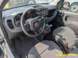FIAT Panda usata 20