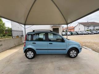 FIAT Panda usata, con Fendinebbia