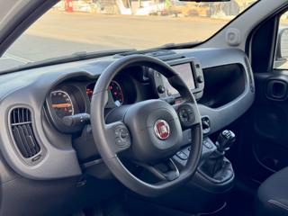 FIAT Panda Cross usata, con Climatizzatore