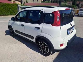 FIAT Panda usata, con Chiusura centralizzata