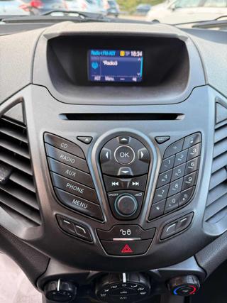 FORD EcoSport usata, con Cronologia tagliandi