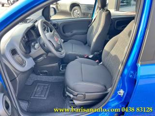 FIAT Panda usata, con Antifurto