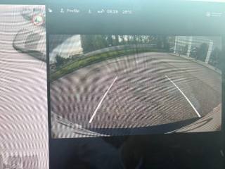 TESLA Model 3 usata, con Controllo trazione