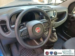 FIAT Panda usata, con Immobilizzatore elettronico