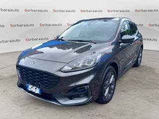 FORD Kuga 2.0 EcoBlue 120 CV aut. 2WD ST-Line
