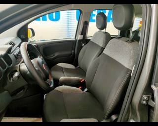 FIAT New Panda usata 13