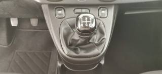FIAT Panda usata, con Servosterzo