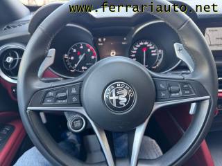 ALFA ROMEO Stelvio usata, con ESP