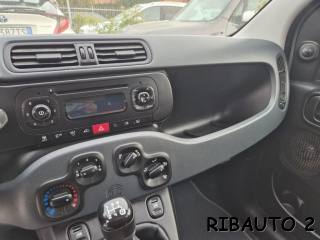 FIAT Panda usata, con Airbag testa