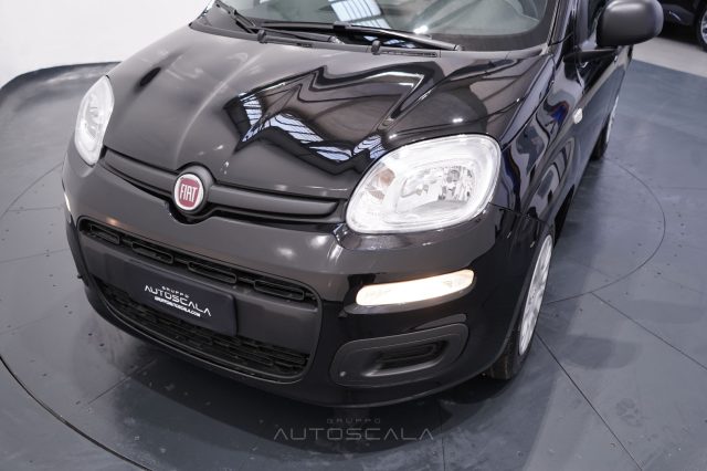 FIAT New Panda usata, con Riconoscimento dei segnali stradali