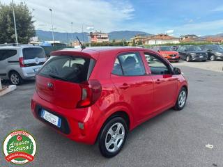 KIA Picanto usata, con Airbag Passeggero