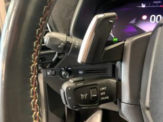 DS AUTOMOBILES DS 7 usata, con Controllo vocale